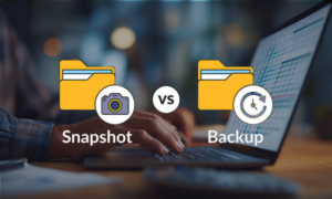 Snapshot and Backup Snapshot and Backup